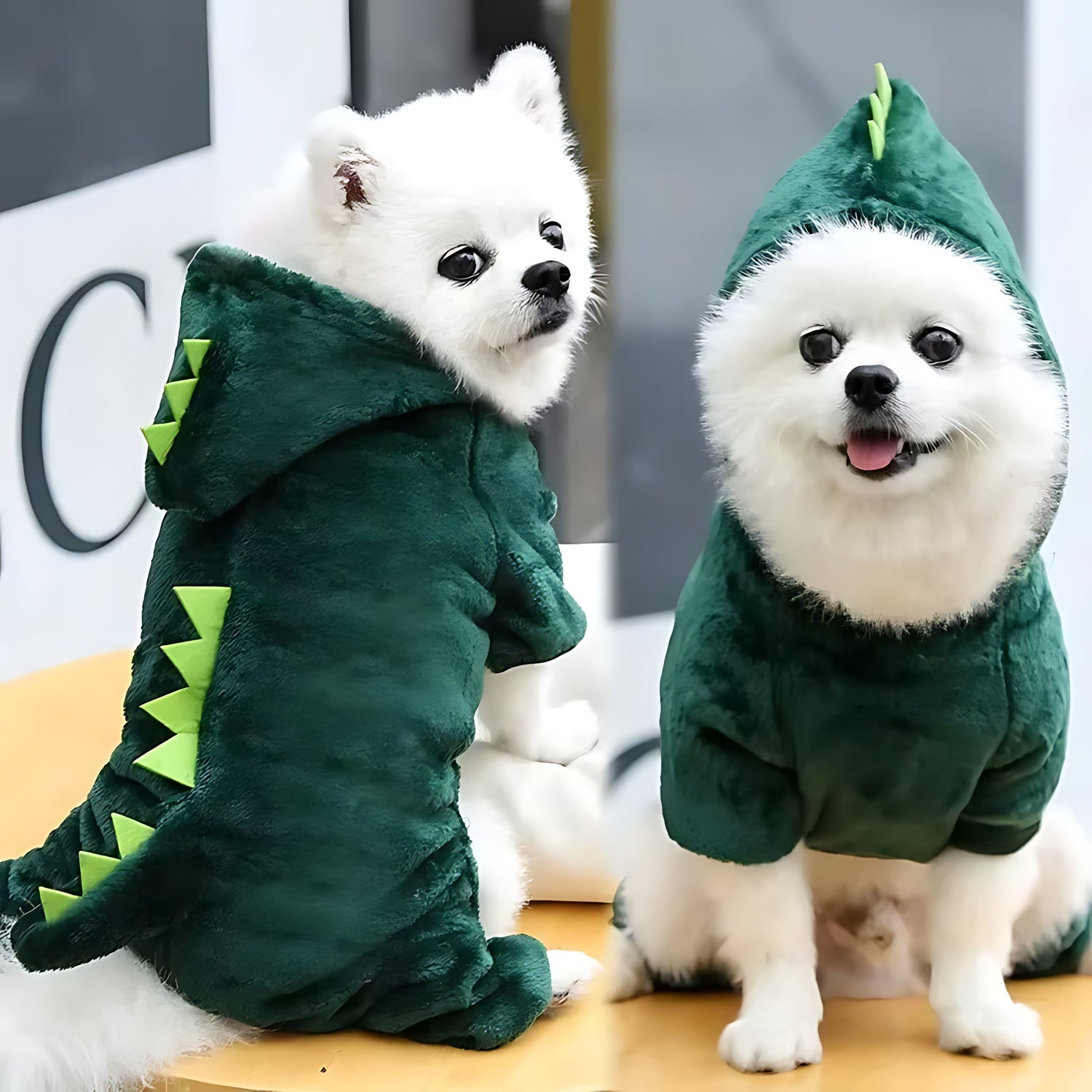Pet Clothing