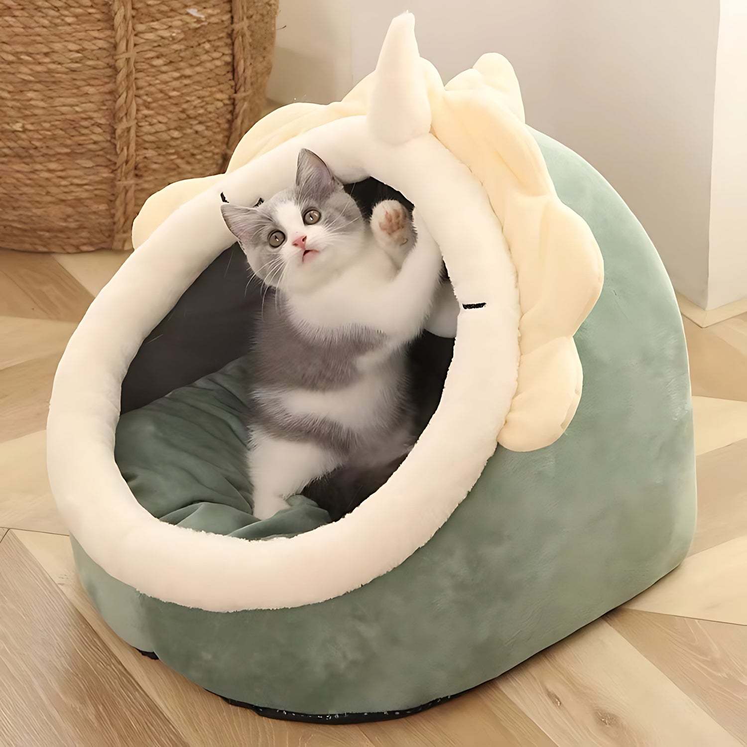 Pet Beds