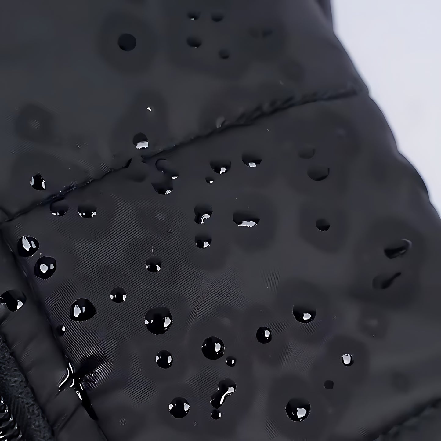 Waterproof Winter Dog Coat – Warm Padded Zipper Jacket for Small, Medium & Large Dogs
