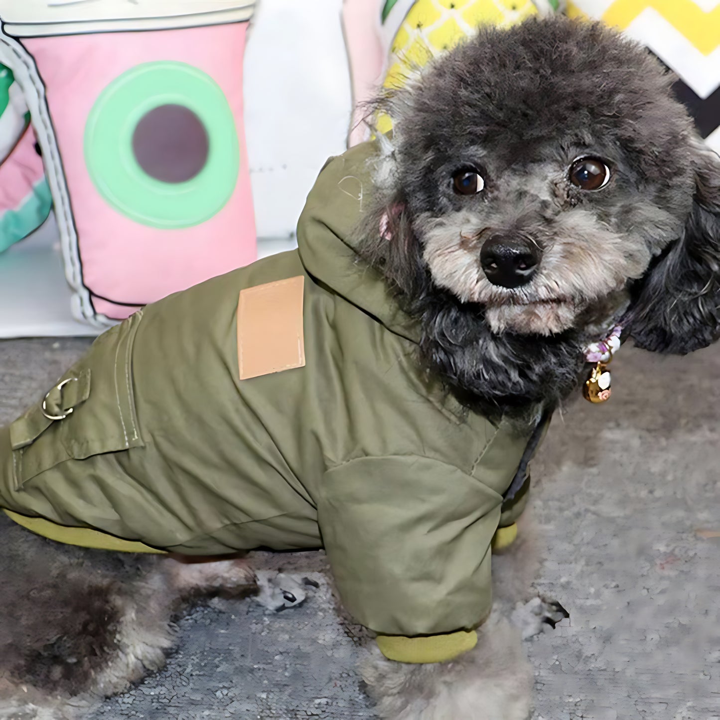 Winter Puppy Dog Coat – Thick Warm Hoodie Jacket for Small & Medium Dogs